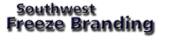 South West Freeze Branding